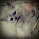 ★2탄가지고온 쭉이에요~!!!!!!(※사진有<b>느</b>님+▽+)