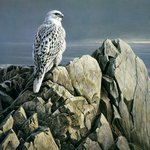 엄멈메를<b>매료</b>시킨? 이사람 조나웃기네 ㅋㅋㅋㅋ