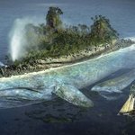 (흥<b>분주</b>의) 야짤