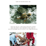 신비주의) 5300년전 <b>시신</b> 발견