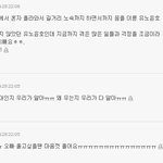 동방신기 <b>올팬</b>은 판에서놀고 기사는 갠<b>팬</b>인가?