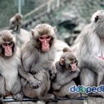 청년아 미안 나존나<b>오크</b>여서얼굴못까