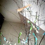 잠깐...인물사진~ㅋㅋㅋ(<b>자삭</b>했음요~ㅈㅅ했음요;)