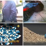 충격적인 인육캐슐 제정신입니까?