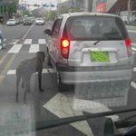 [빡침주의]<b>악마</b> 마티즈
