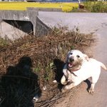 내사랑<b>마리</b>^_^!!!(2탄)