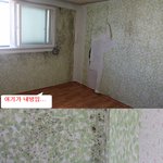 와우 판타스틱 <b>벽지</b>집주인아저씨때문에 미치겠어여