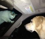 ★☆★☆우리 언니 사랑스러움..★☆★☆