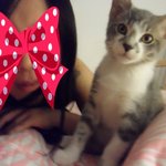 토론토댁 야옹이참치 이야기2 (친구를 만나다)