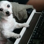 사진有느님)오빠아~예삐공주<b>접속</b>했어요오~