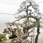<b>일산</b> 꽃박람회에서~