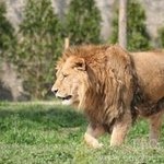 동물원에 있는 <b>동물</b>들의 가격