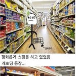미국식 인생은 <b>실전</b>이다