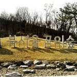 쿨한 백혈병환자와 떠나는 봄나들이