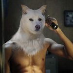 [엉니] 털깍는 <b>진도</b>