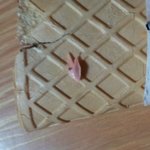아이스크림 먹다 날벼락 ㅡㅡㅡ