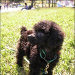 ★10살먹은 초동안 고양이여라 2탄~! ★