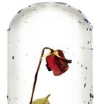 여름<b>보습</b>의 진실...알고있는사람