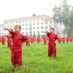 <b>태생</b>부터 무술 신동인 액션 배우들