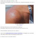 10대를 위한 봄맞이 피부관리법 대공개! + 피부<b>타입</b> 셀프 판별법