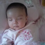 우리집★<b>완두콩</b>★을 소개합니다.