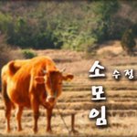 수원사는 20대 분들!