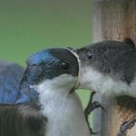 너의 뜨거운 입술을 <b>원해</b>