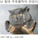 난 <b>결백</b>해