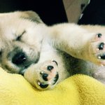 이것이 바로 폭☆풍☆성☆장☆