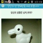 성 정체성 테스트