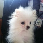 <b>똥배</b>에서 나온 내새끼 동배 ★사진 매우많음! ★