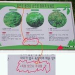 <b>범인</b>은 푯말이다