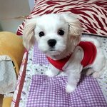 우리 딸 세상에서 제일 스릉흔드♥