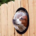 [고퀼] 천재들이 생각했을 법한 물건