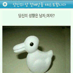 성 <b>정체</b>성테스트