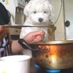 ◆◆찌개두부^^부침두부◆◆