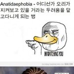 <b>오리</b> 증후군을 아십니까?