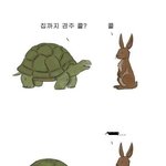 ✫거북이가 <b>토끼</b>를 이기는 방법✫