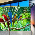 이제 <b>lg</b>도 뺏기겟다ㅡㅡ