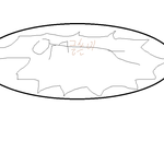 ★☆★☆★☆★디스코팡팡타다가 이빨부러진사연ㅋㅋㅋㅋㅋㅋㅋㅋㅋㅋ★☆★☆★☆★☆★☆