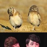 <b>진리</b>의 세훈경수짤