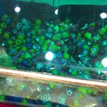 오늘 용인 <b>동백</b> 이마트를 갔다가 ...