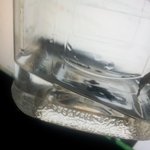 지금 <b>물병</b>에 벌레들어가있는데