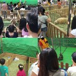 ★안타까운 어린이<b>날</b> <b>행사</b>..