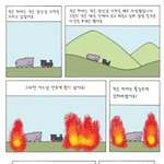 작은<b>하마</b>이야기