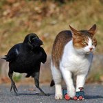 <b>내경험상</b> 너는...