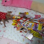 ★졸업한 선배를 위한 특별한 생일선물만들기★