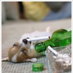아 주말<b>인대</b> 더럽게 쓈쓈