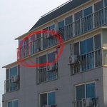 사진有)고양이가 3층에서 못내려오는데 어떻게 해요?