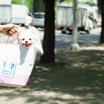 >>>>[5탄!!!] 세종<b>대왕</b>의 한글사랑 <<<<